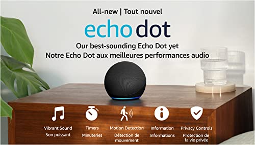 Echo Dot (5th Gen) + Evolux Smart Bulb | Charcoal