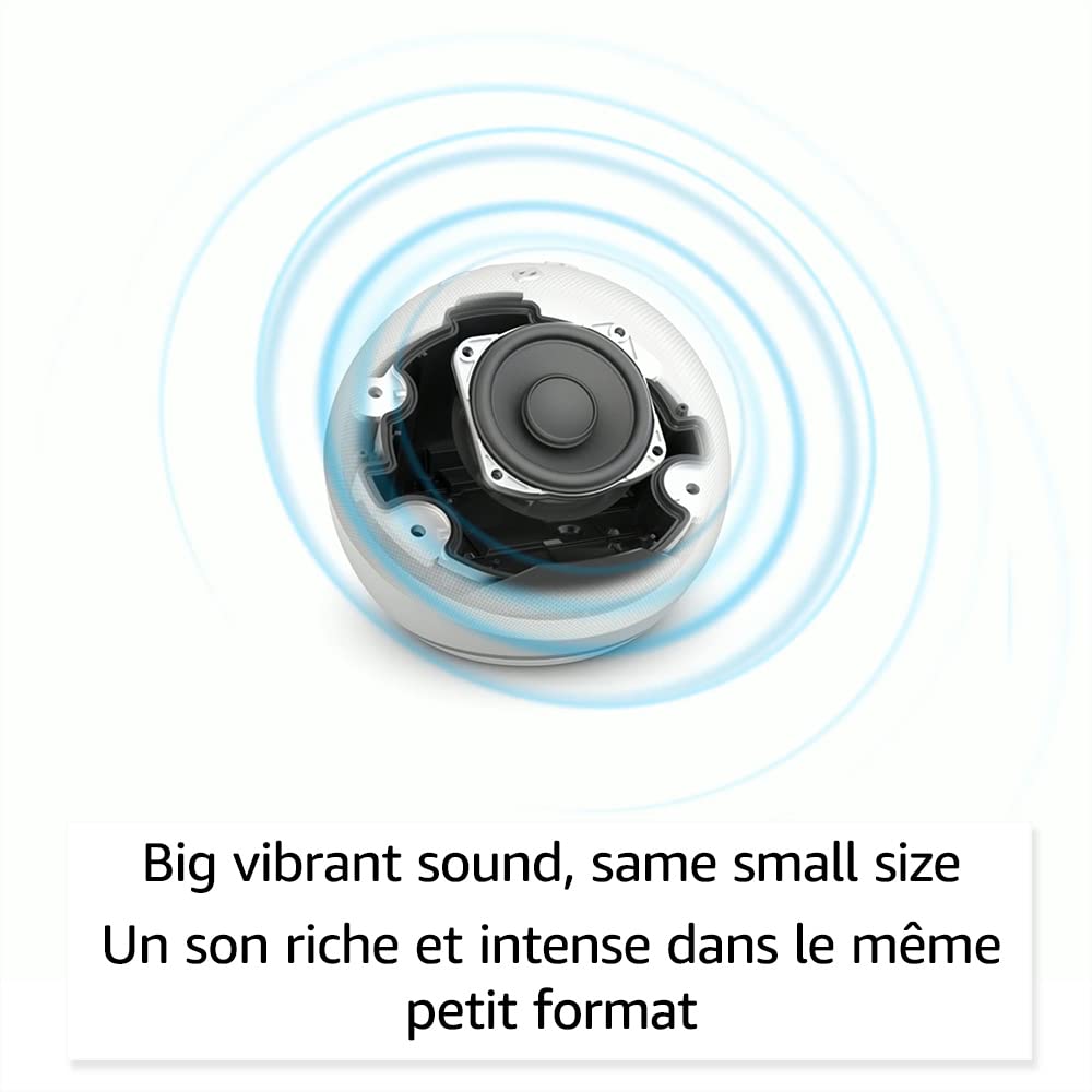 Echo Dot (5th Gen) + Evolux Smart Bulb | Charcoal