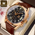 OLEVS Luxury Waterproof Luminous Quartz Men's Watche