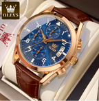 OLEVS Luxury Waterproof Luminous Quartz Men's Watche